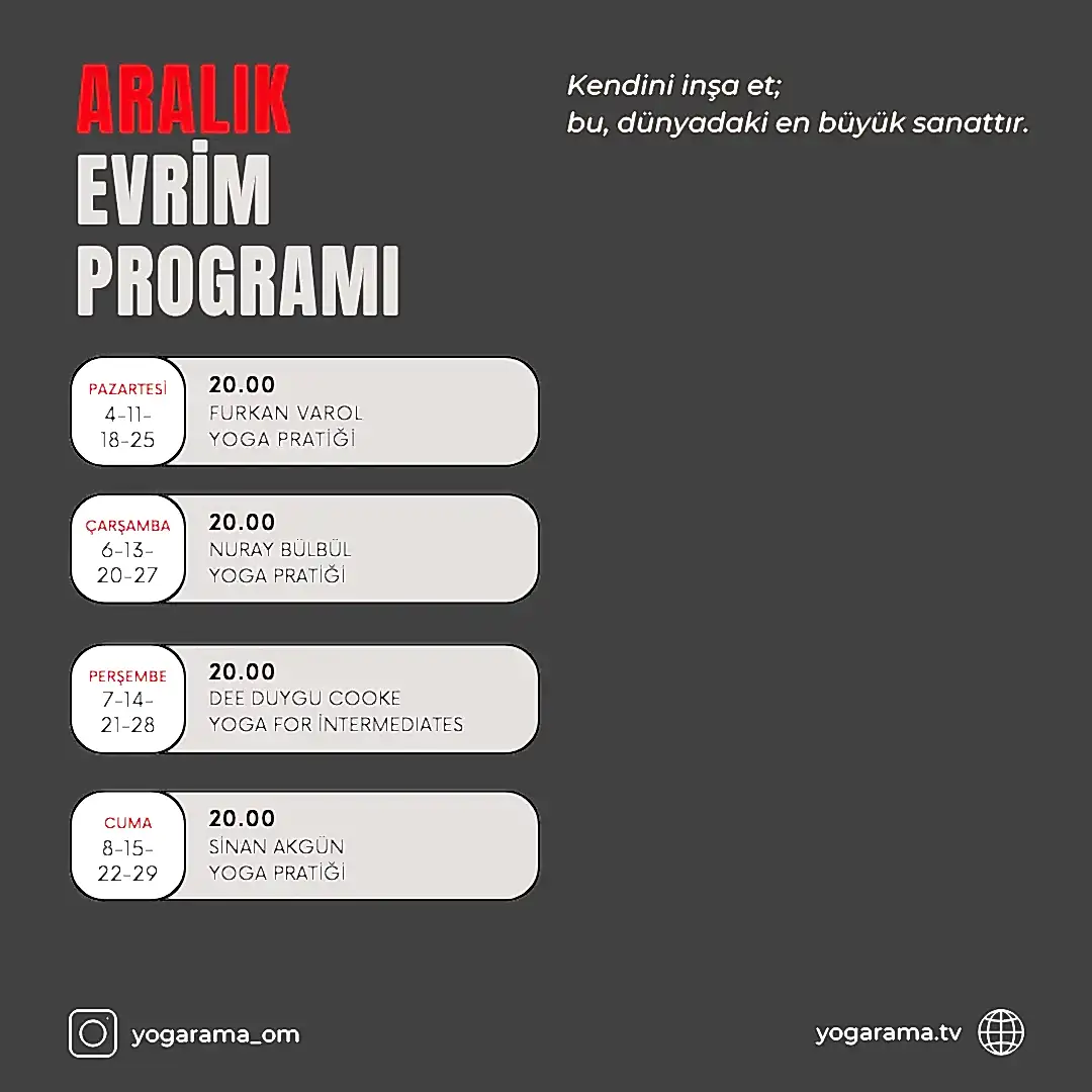 Evrim Aralık Programı