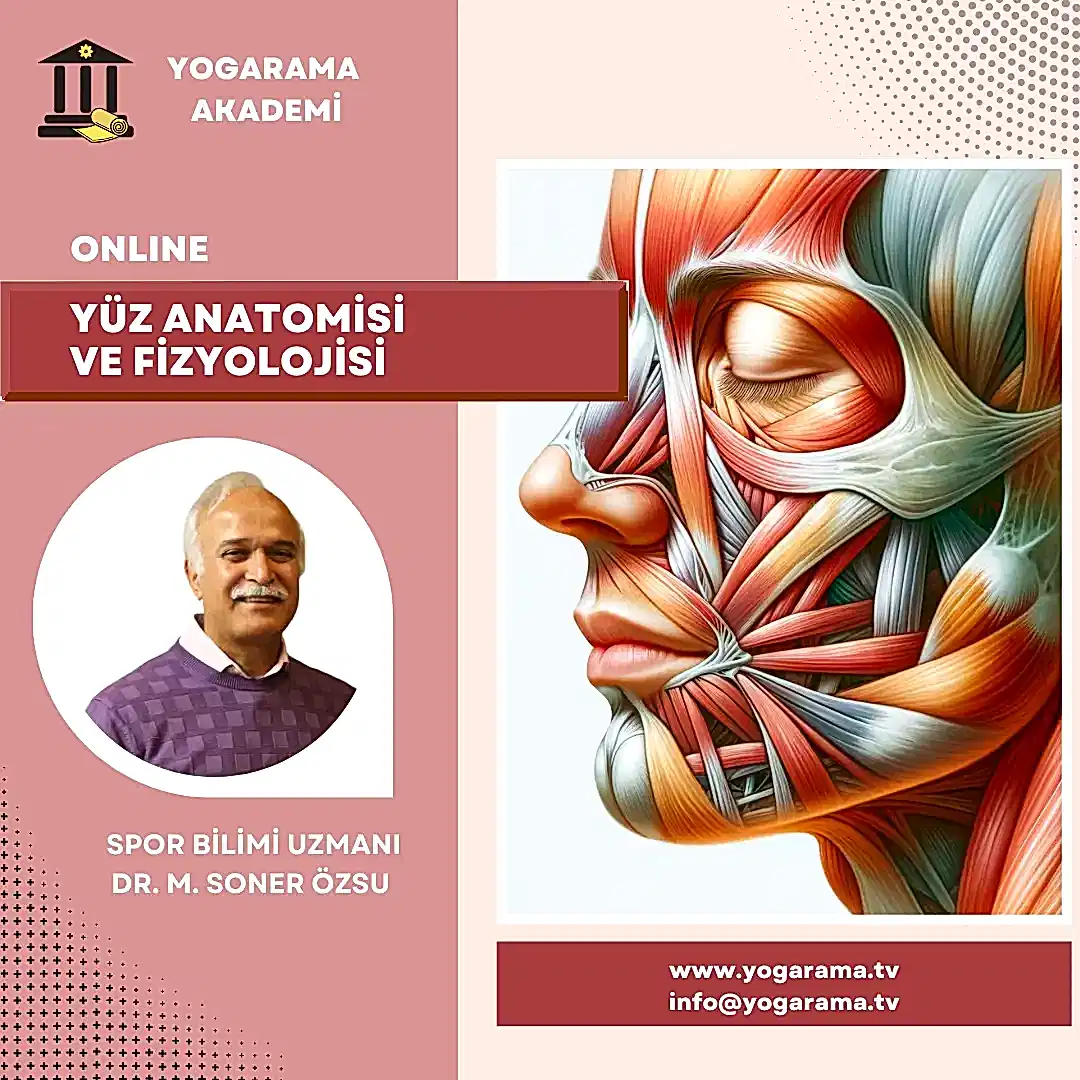 Yüz Yogası Uzmanlık Eğitimi - Görsel 3