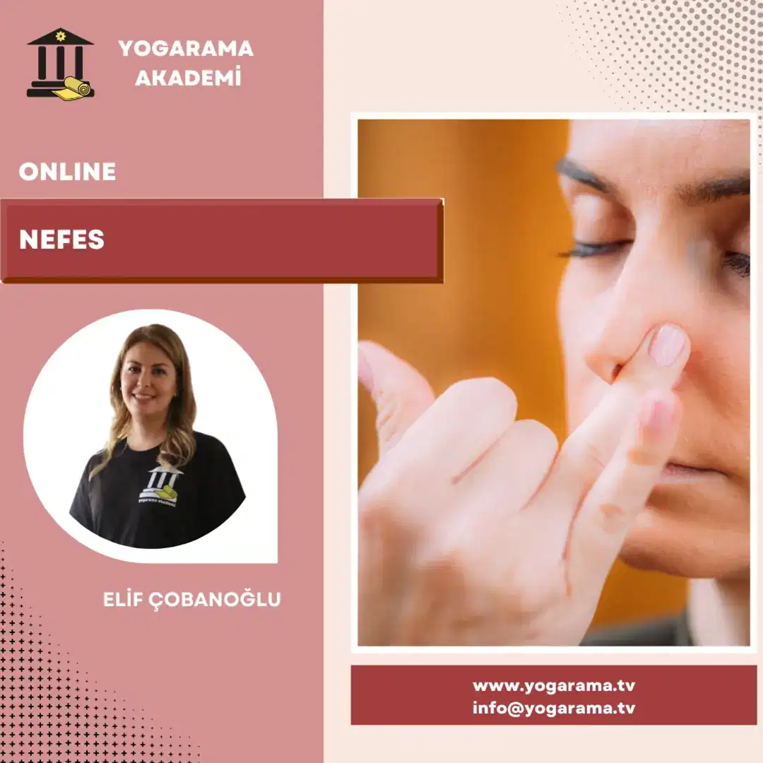 Yüz Yogası Uzmanlık Eğitimi - Görsel 5